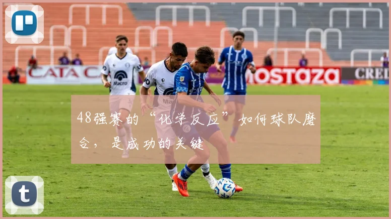 48强赛的“化学反应”如何球队磨合,是成功的关键