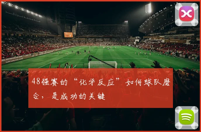 48强赛的“化学反应”如何球队磨合,是成功的关键